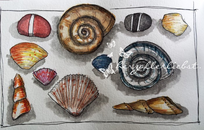 shells-sketch-2
