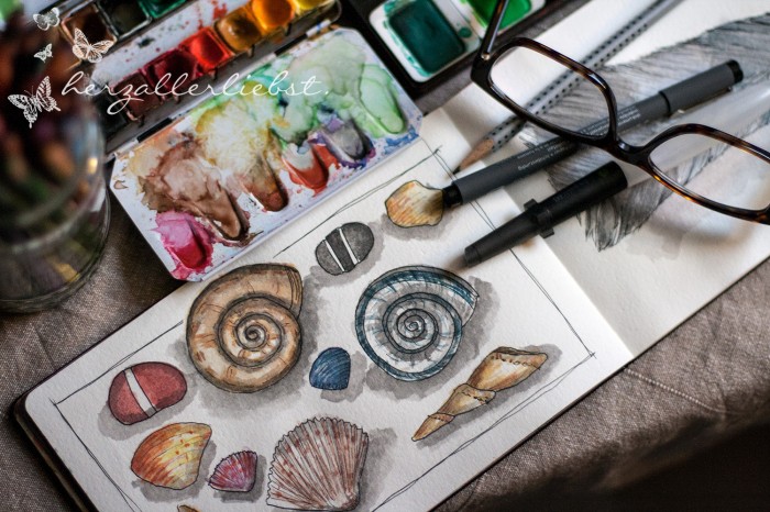 shells-sketch-3